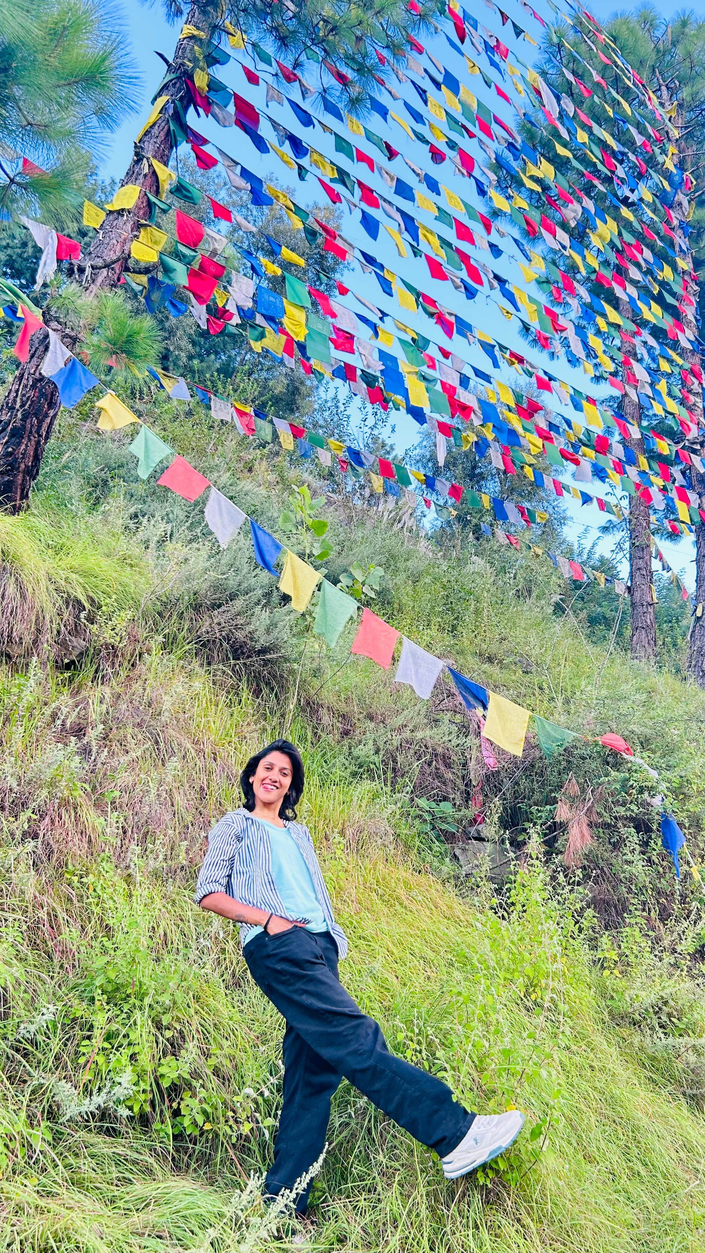Himalayan mountain pass trail